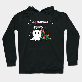 Aquarius Persian Cat Christmas Holiday Hoodie